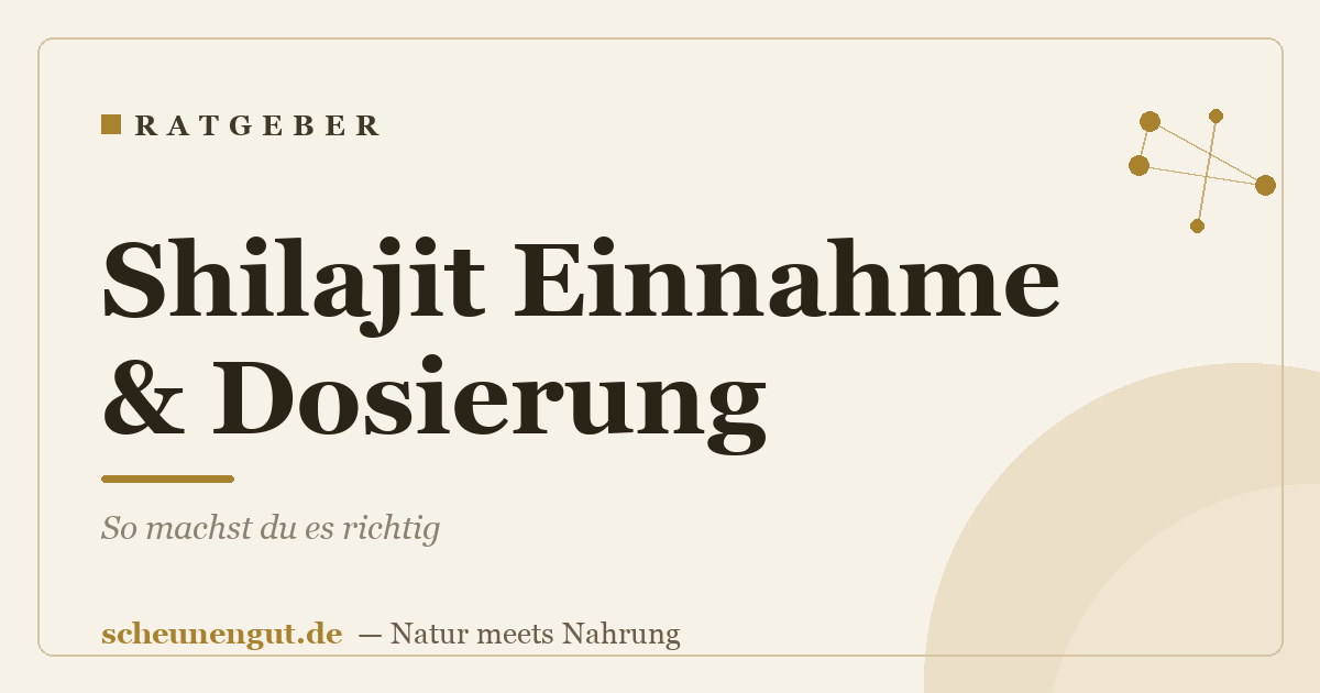 Shilajit Einnahme & Dosierung: So machst du es richtig