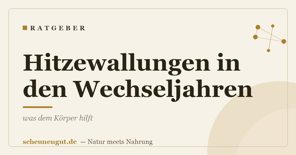 Hitzewallungen in den Wechseljahren – was dem Körper hilft