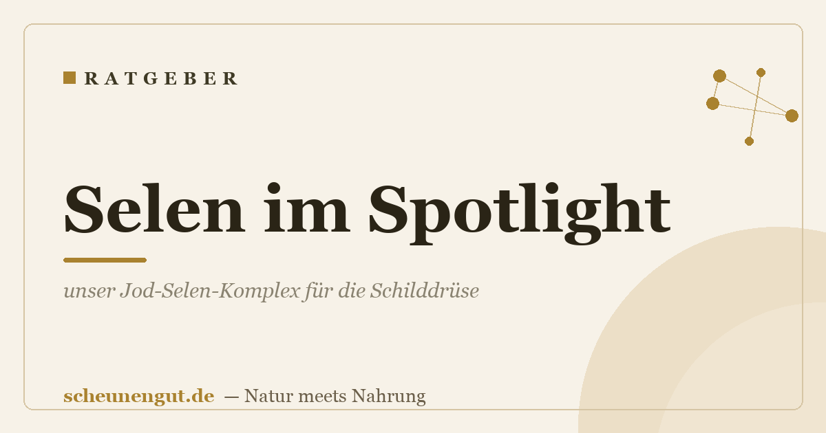 Selen im Spotlight: unser Jod-Selen-Komplex für die Schilddrüse