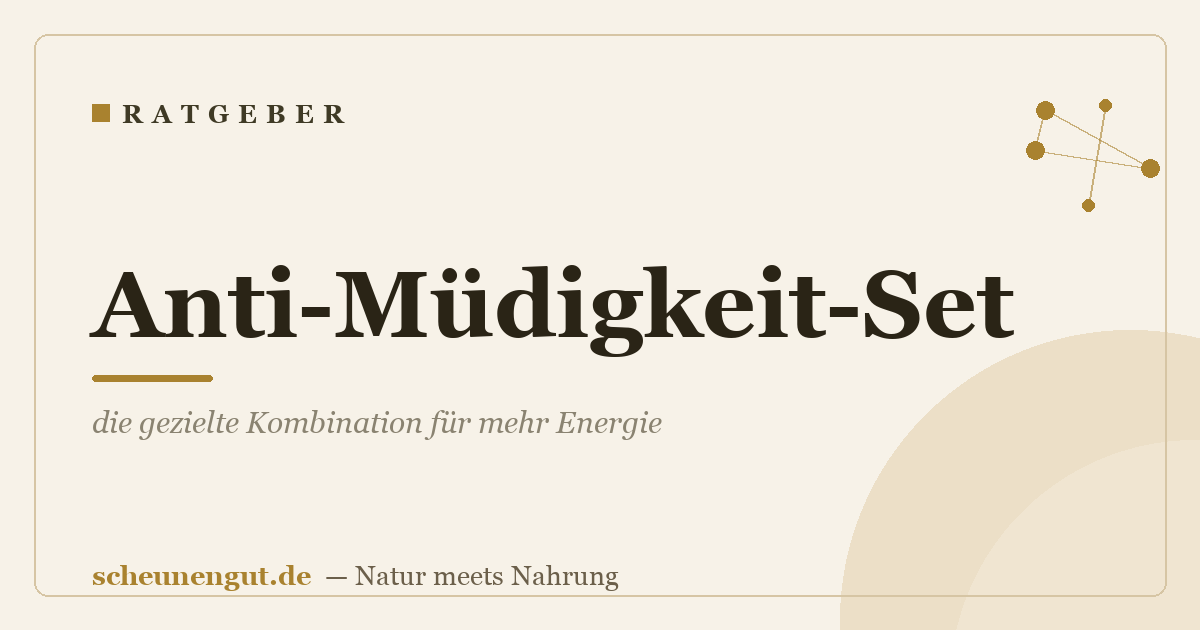 Anti-Müdigkeit-Set: die gezielte Kombination für mehr Energie