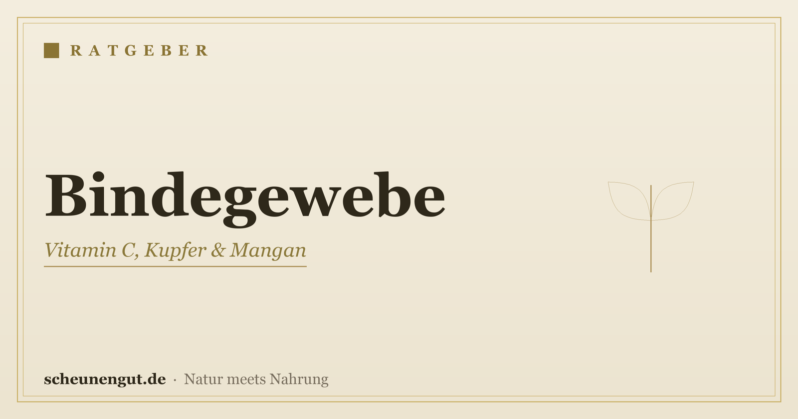 Nährstoffe für das Bindegewebe – Ratgeber von Scheunengut