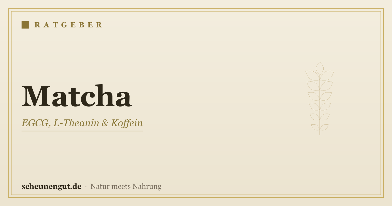 Matcha: EGCG & L-Theanin erklärt – Ratgeber von Scheunengut