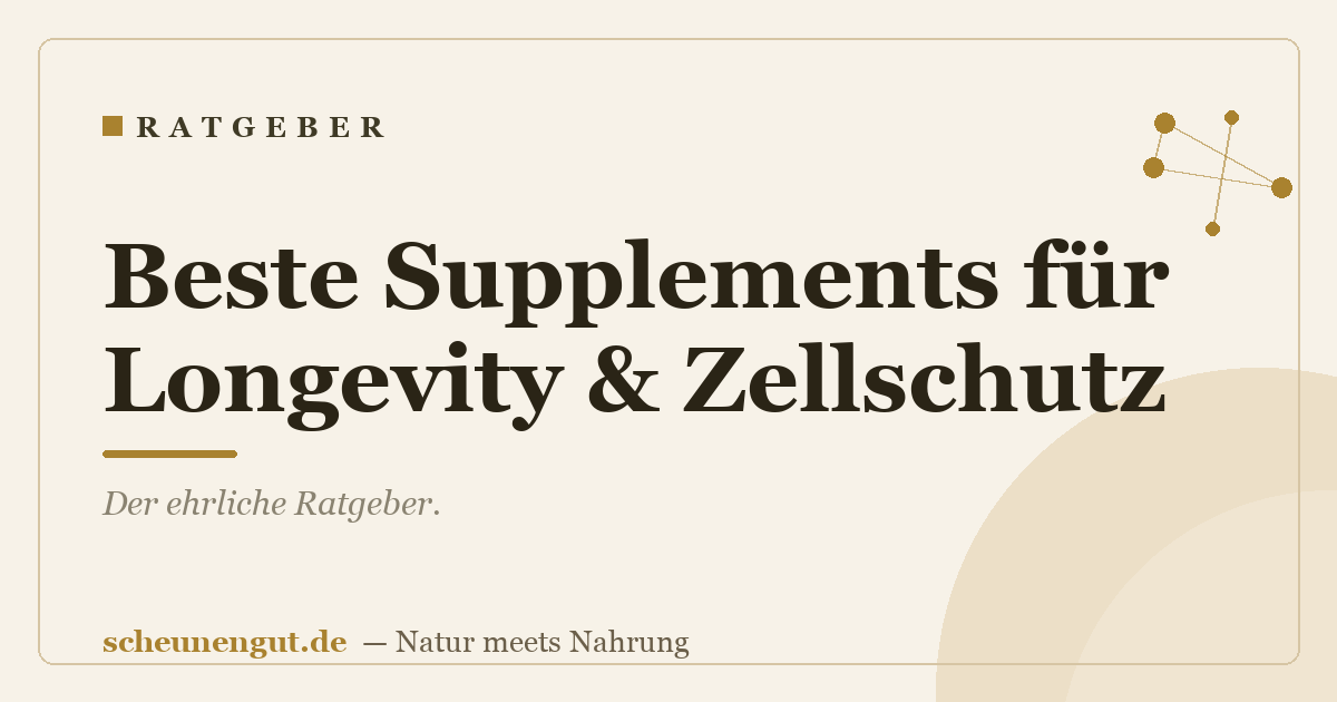 Beste Supplements für Longevity & Zellschutz