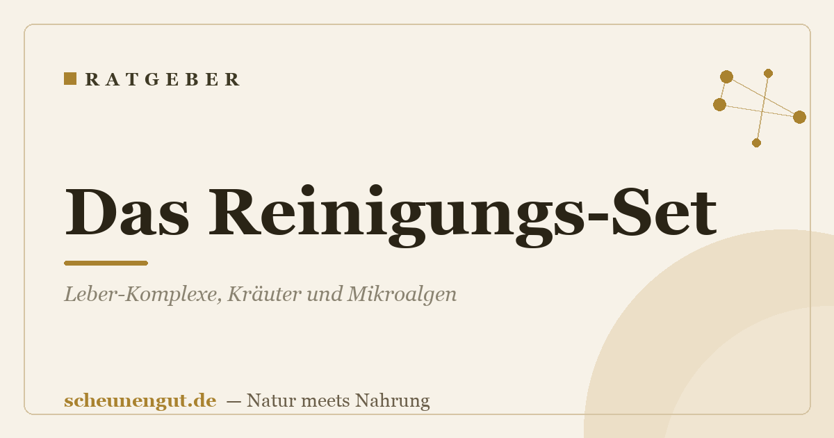 Das Reinigungs-Set: Leber-Komplexe, Kräuter und Mikroalgen