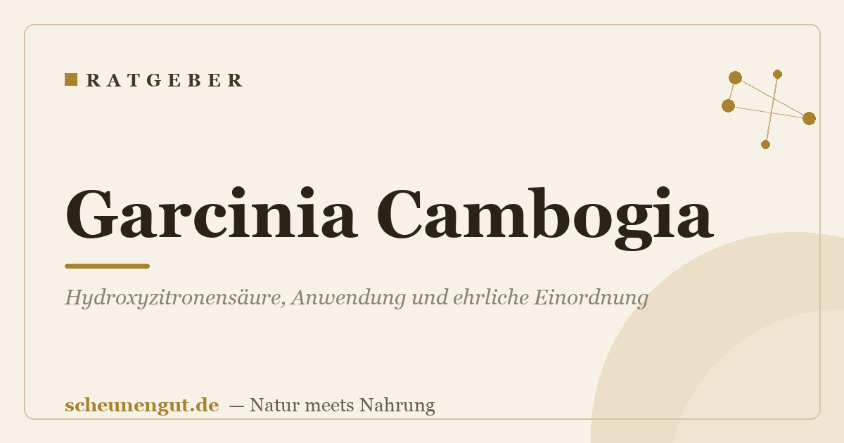 Garcinia Cambogia: Hydroxyzitronensäure, Anwendung und ehrliche Einordnung