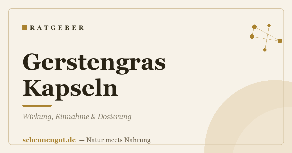 Gerstengras Kapseln: Wirkung, Einnahme & Dosierung