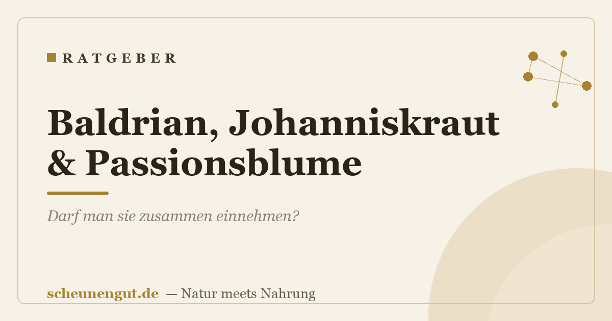 Baldrian, Johanniskraut & Passionsblume: Darf man sie zusammen einnehmen?