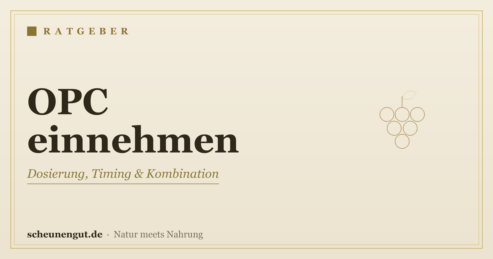 OPC richtig einnehmen & dosieren – Ratgeber von Scheunengut