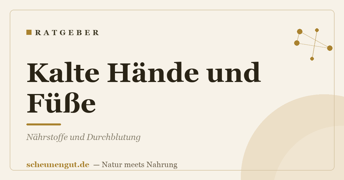 Kalte Hände und Füße: Nährstoffe und Durchblutung