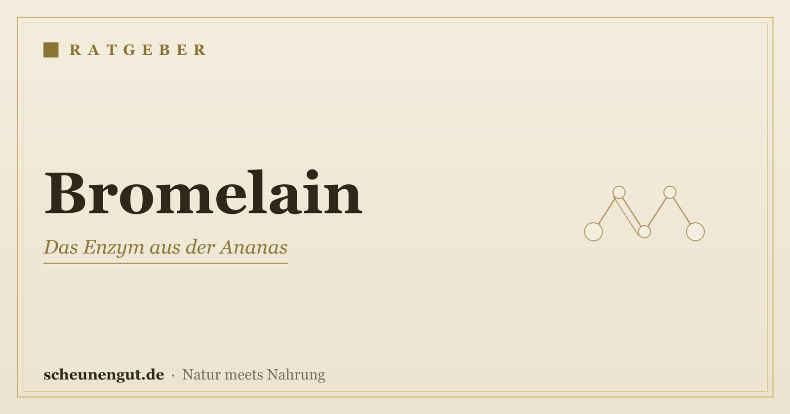 Bromelain – Ratgeber von Scheunengut