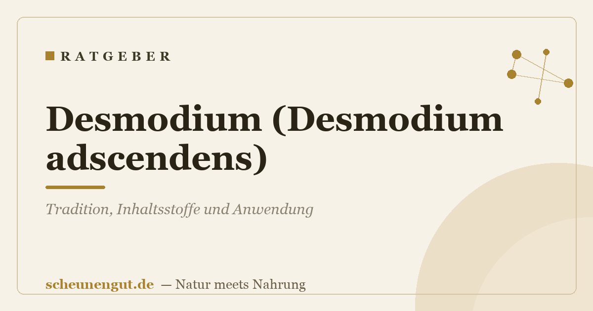 Desmodium (Desmodium adscendens): Tradition, Inhaltsstoffe und Anwendung