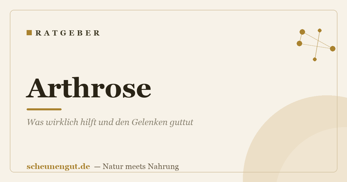 Arthrose: Was wirklich hilft und den Gelenken guttut