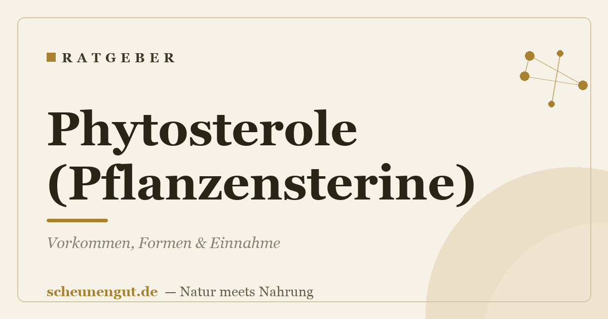 Phytosterole (Pflanzensterine): Vorkommen, Formen & Einnahme