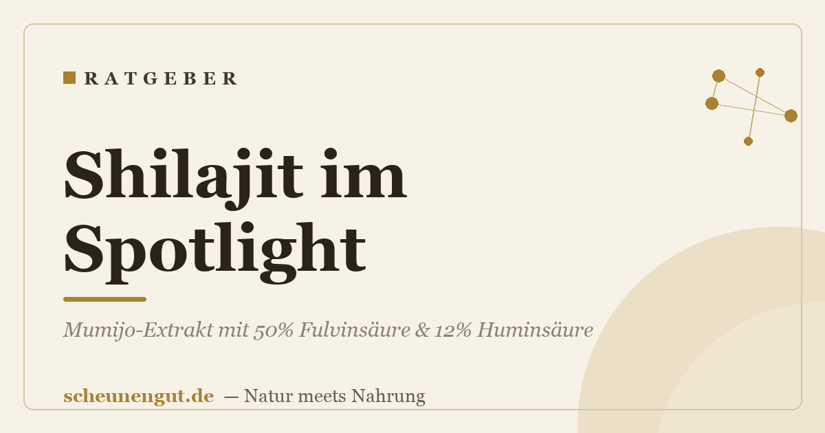 Shilajit im Spotlight: Mumijo-Extrakt mit 50% Fulvinsäure & 12% Huminsäure