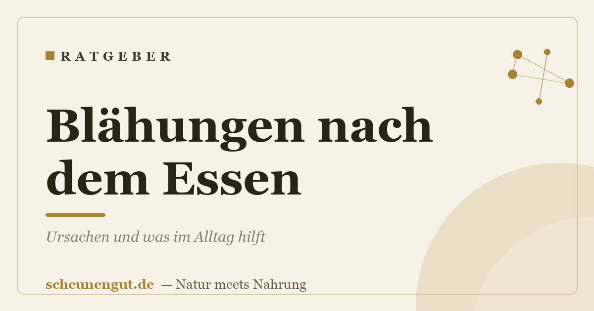 Blähungen nach dem Essen: Ursachen und was im Alltag hilft