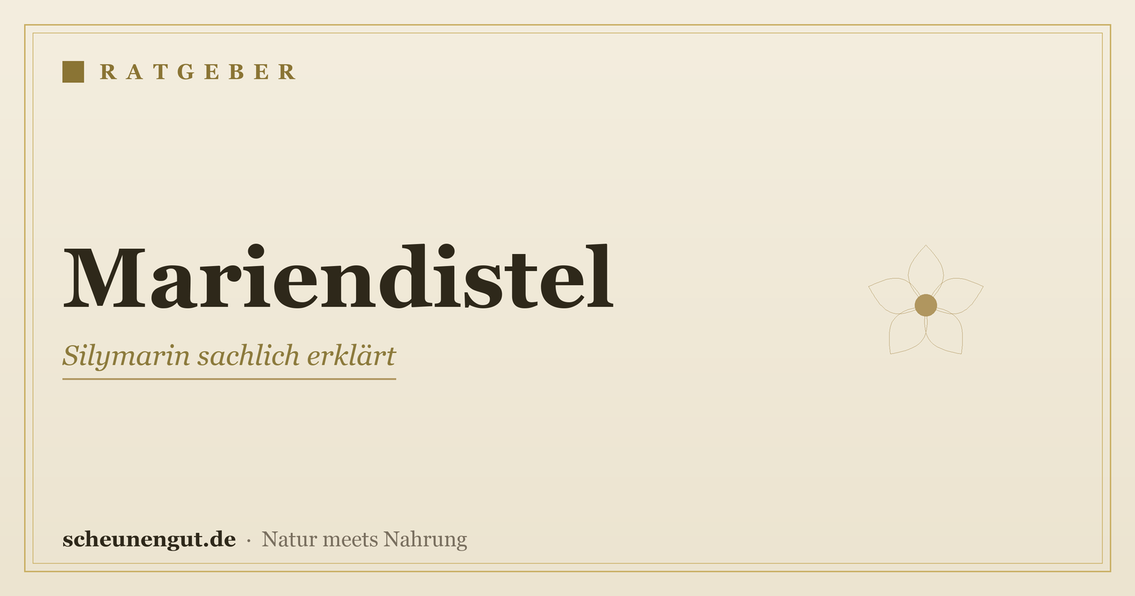 Mariendistel & Silymarin sachlich erklärt – Ratgeber von Scheunengut