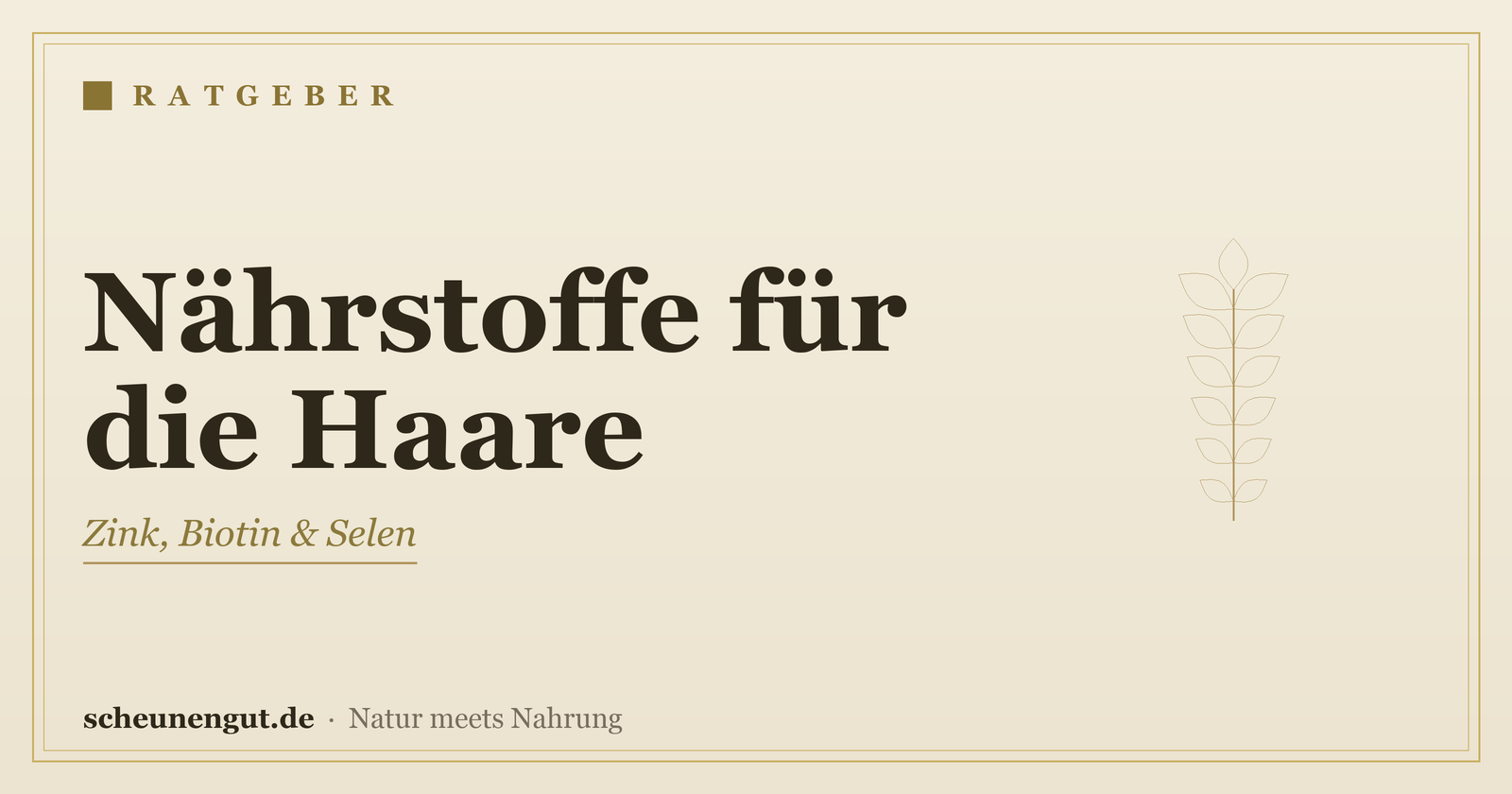 Nährstoffe für kräftiges Haar – Ratgeber von Scheunengut