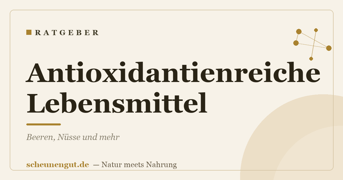Antioxidantienreiche Lebensmittel: Beeren, Nüsse und mehr