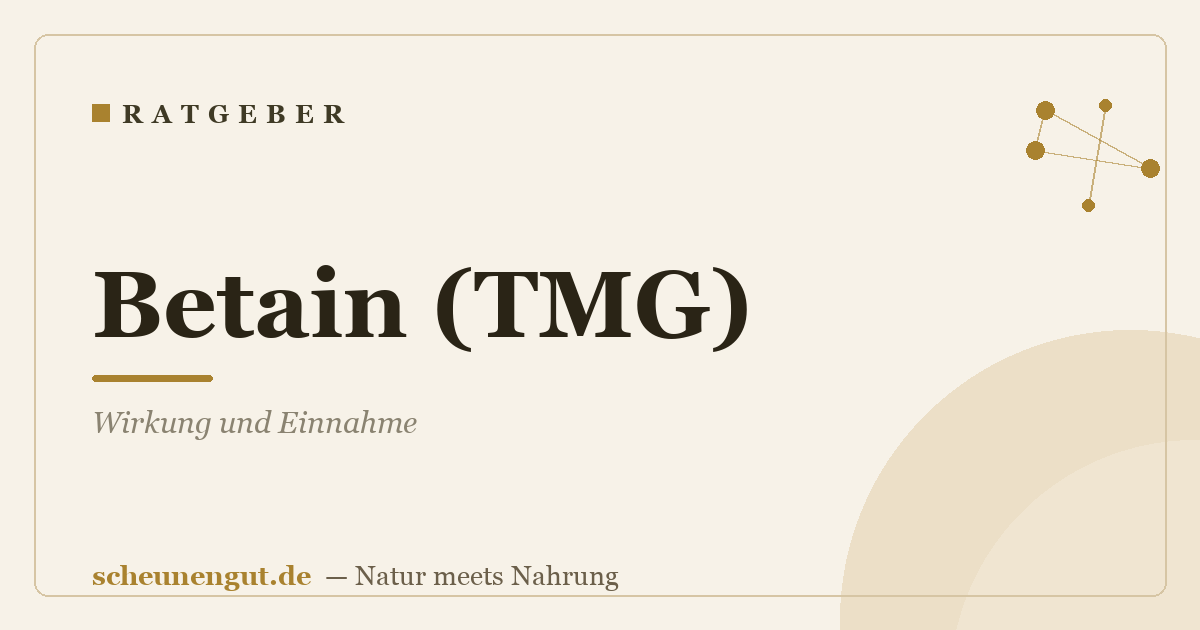 Betain (TMG): Wirkung und Einnahme