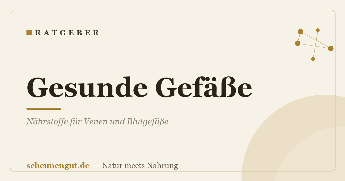 Gesunde Gefäße: Nährstoffe für Venen und Blutgefäße