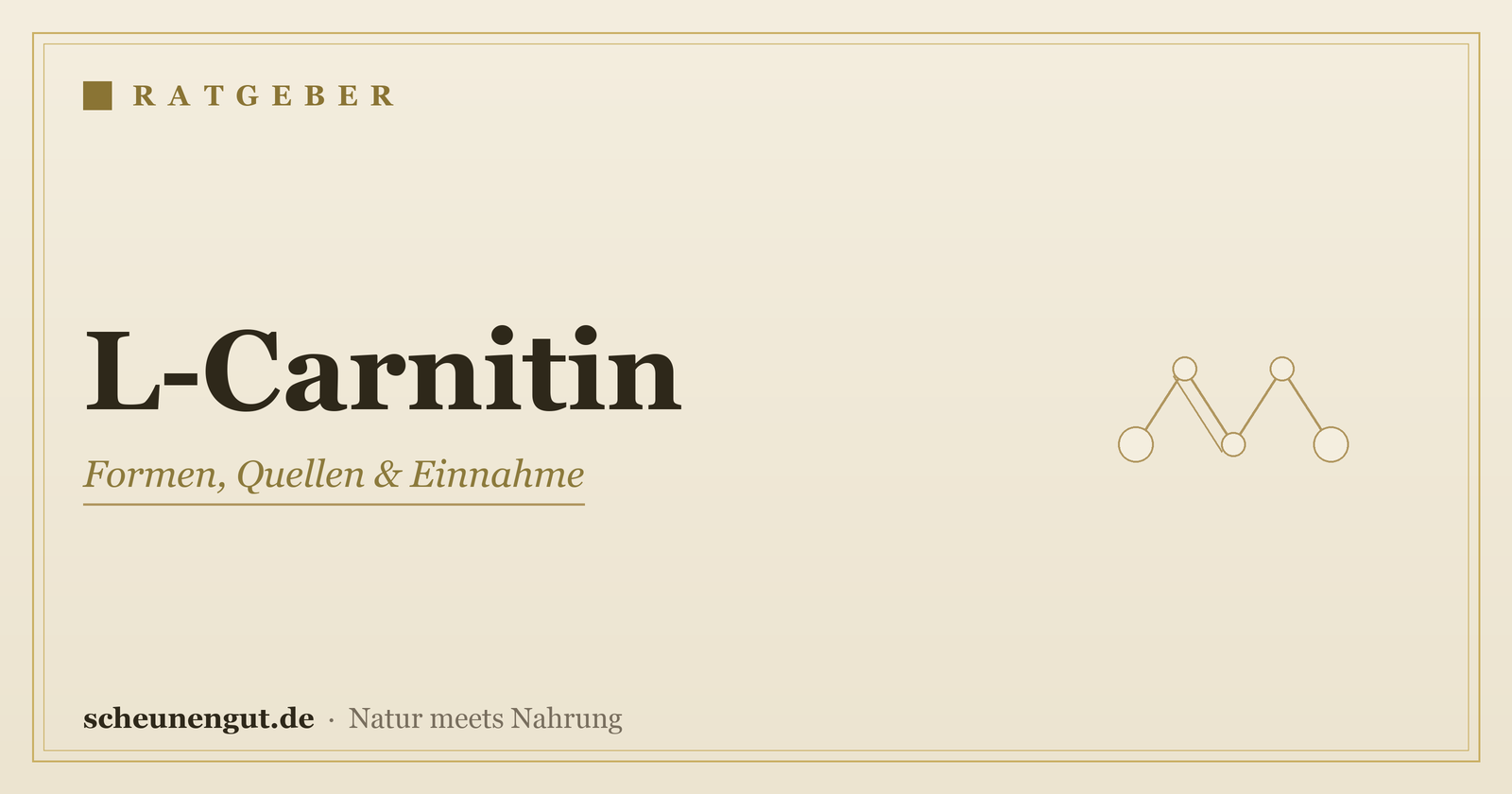 L-Carnitin: Wissenswertes & Einnahme – Ratgeber von Scheunengut