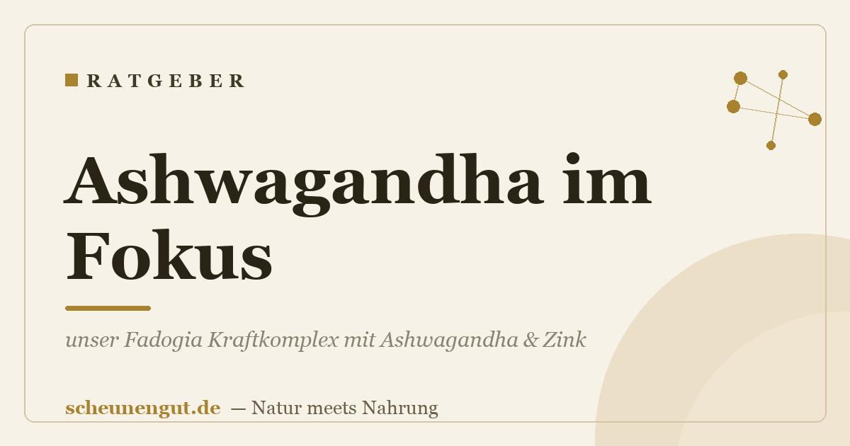 Ashwagandha im Fokus: unser Fadogia Kraftkomplex mit Ashwagandha & Zink