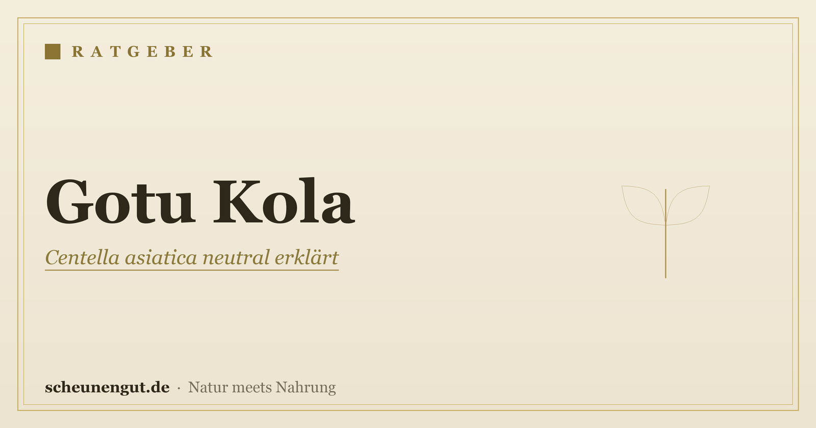 Gotu Kola (Centella asiatica): Wirkung und Anwendung erklärt – Ratgeber von Scheunengut