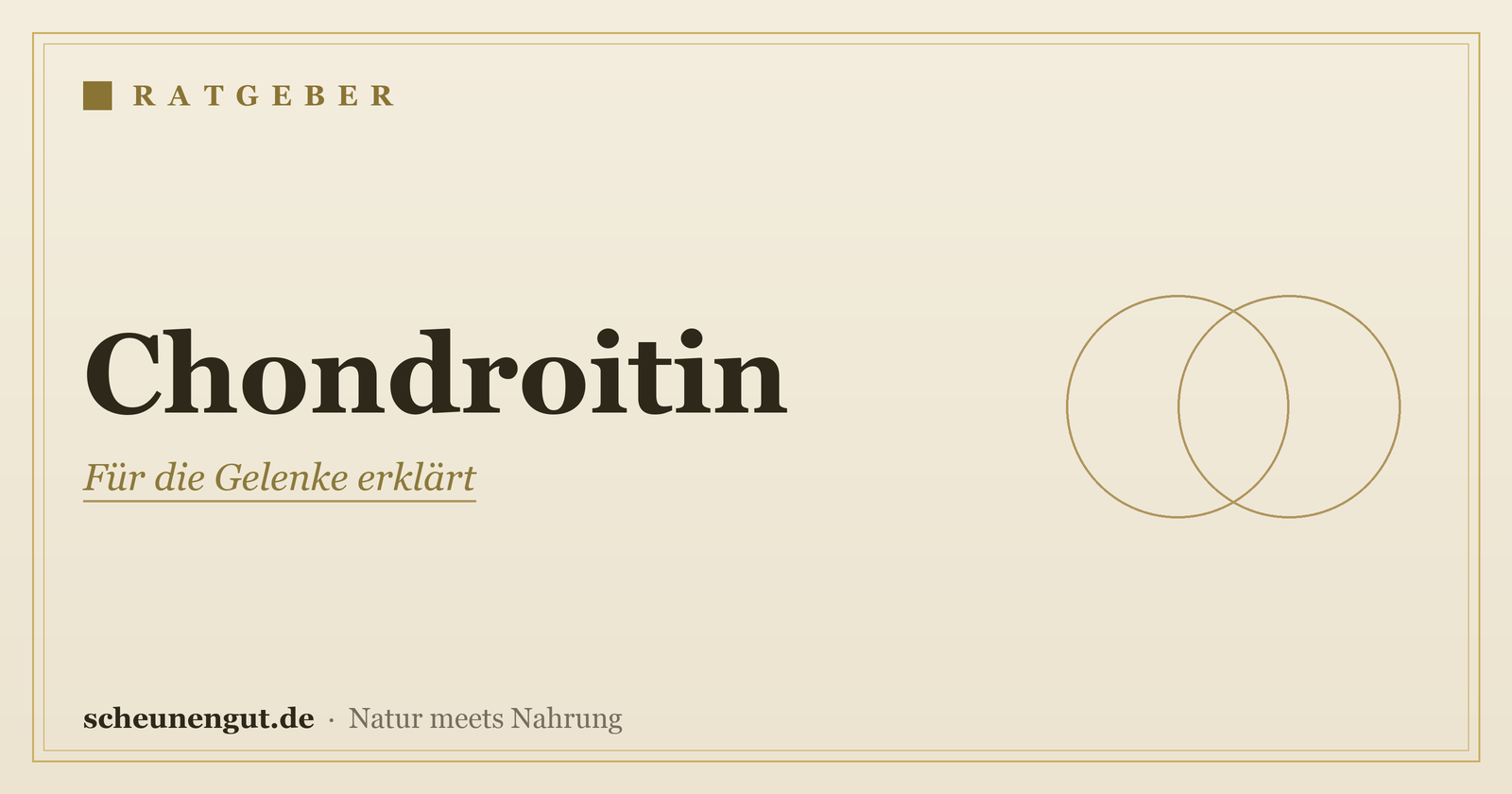 Chondroitin: für die Gelenke erklärt – Ratgeber von Scheunengut