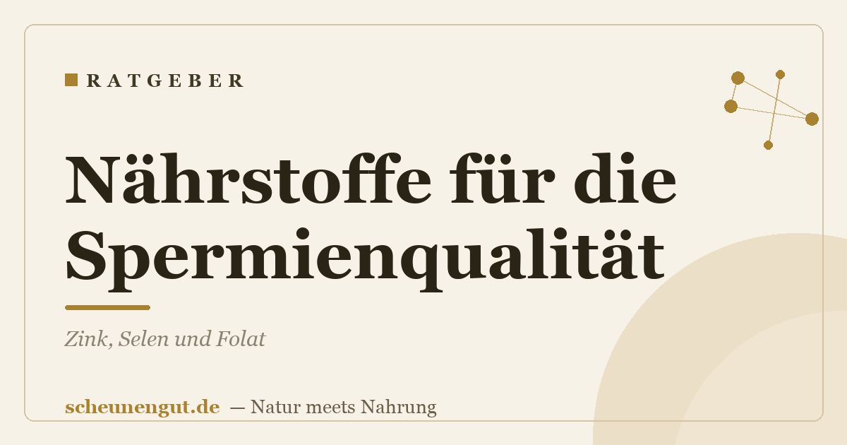 Nährstoffe für die Spermienqualität: Zink, Selen und Folat