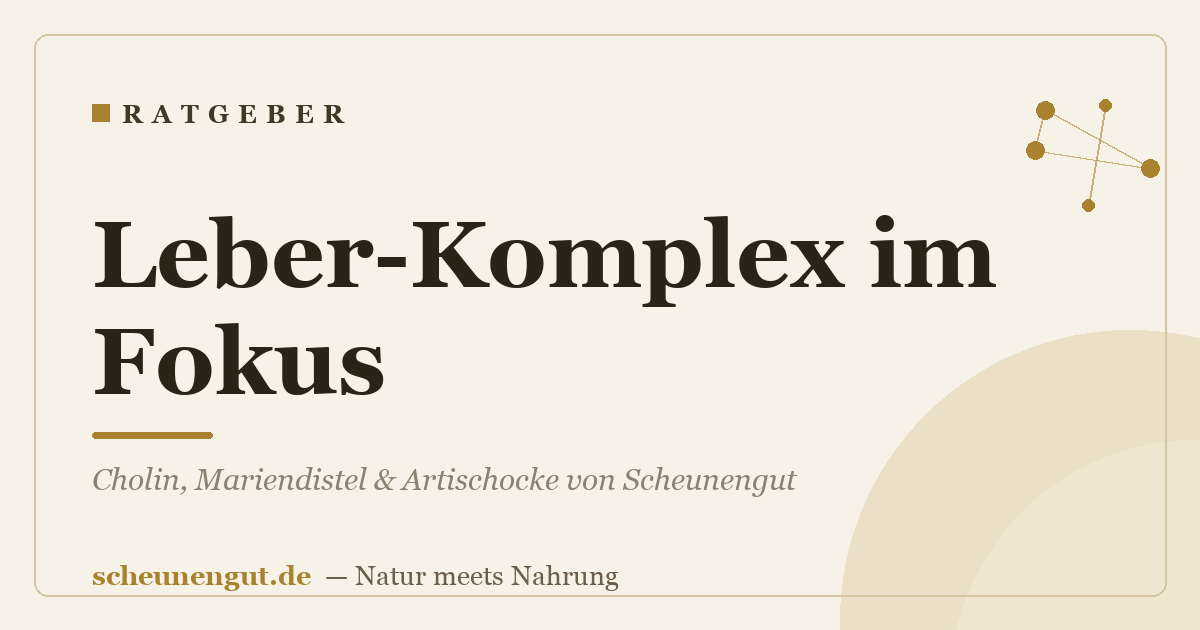 Leber-Komplex im Fokus: Cholin, Mariendistel & Artischocke von Scheunengut