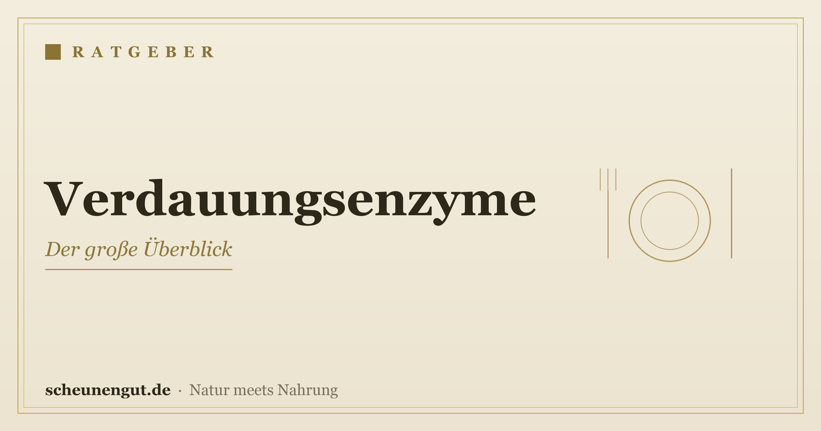 Verdauungsenzyme: der Überblick – Ratgeber von Scheunengut