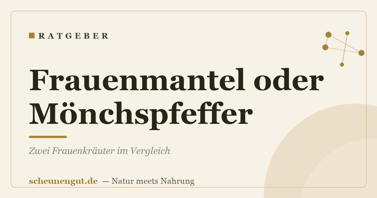Frauenmantel oder Mönchspfeffer? Zwei Frauenkräuter im Vergleich