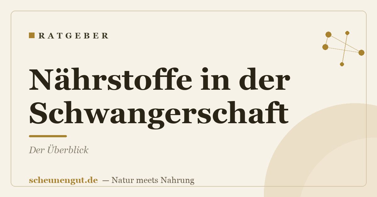 Nährstoffe in der Schwangerschaft: Der Überblick