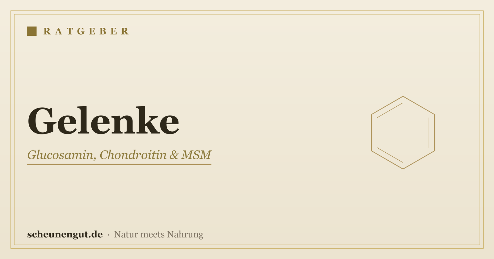 Gelenke – Ratgeber von Scheunengut