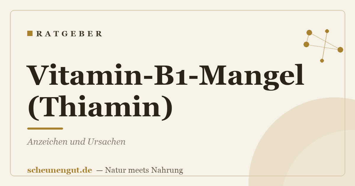 Vitamin-B1-Mangel (Thiamin): Anzeichen und Ursachen