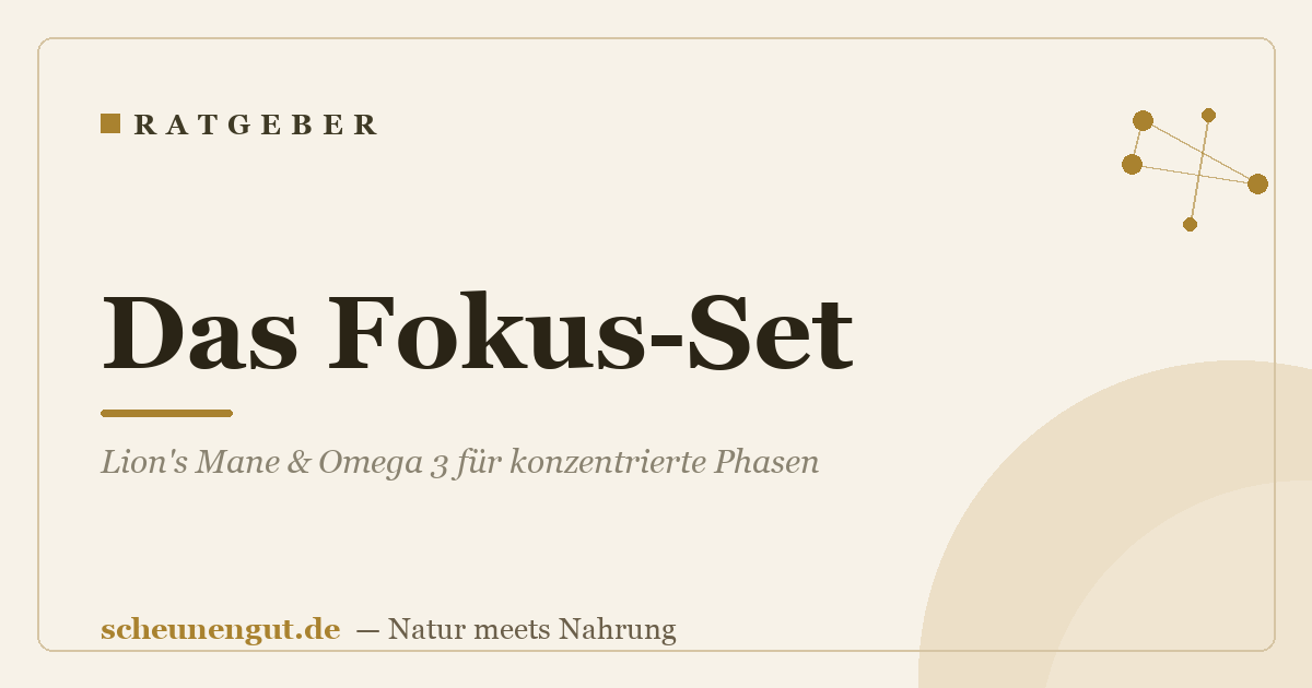 Das Fokus-Set: Lion's Mane & Omega 3 für konzentrierte Phasen