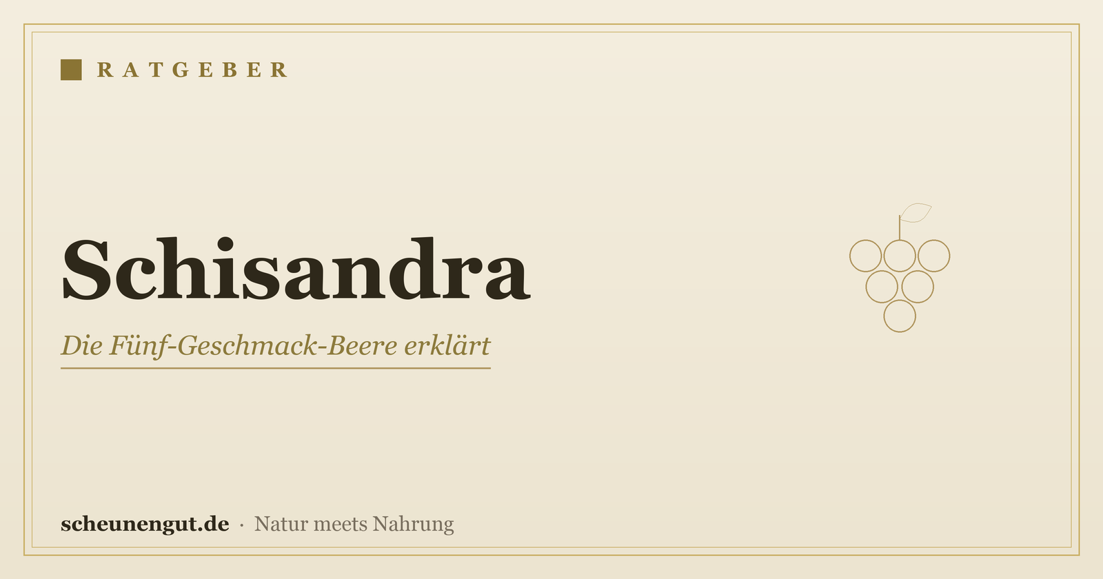 Schisandra-Beere: Wirkung, Herkunft und Anwendung erklärt – Ratgeber von Scheunengut