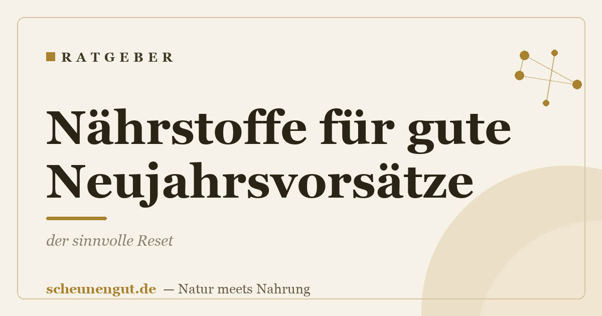 Nährstoffe für gute Neujahrsvorsätze: der sinnvolle Reset