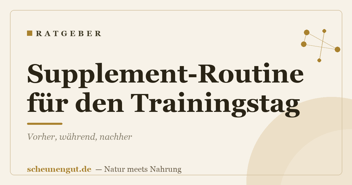 Supplement-Routine für den Trainingstag: Vorher, während, nachher