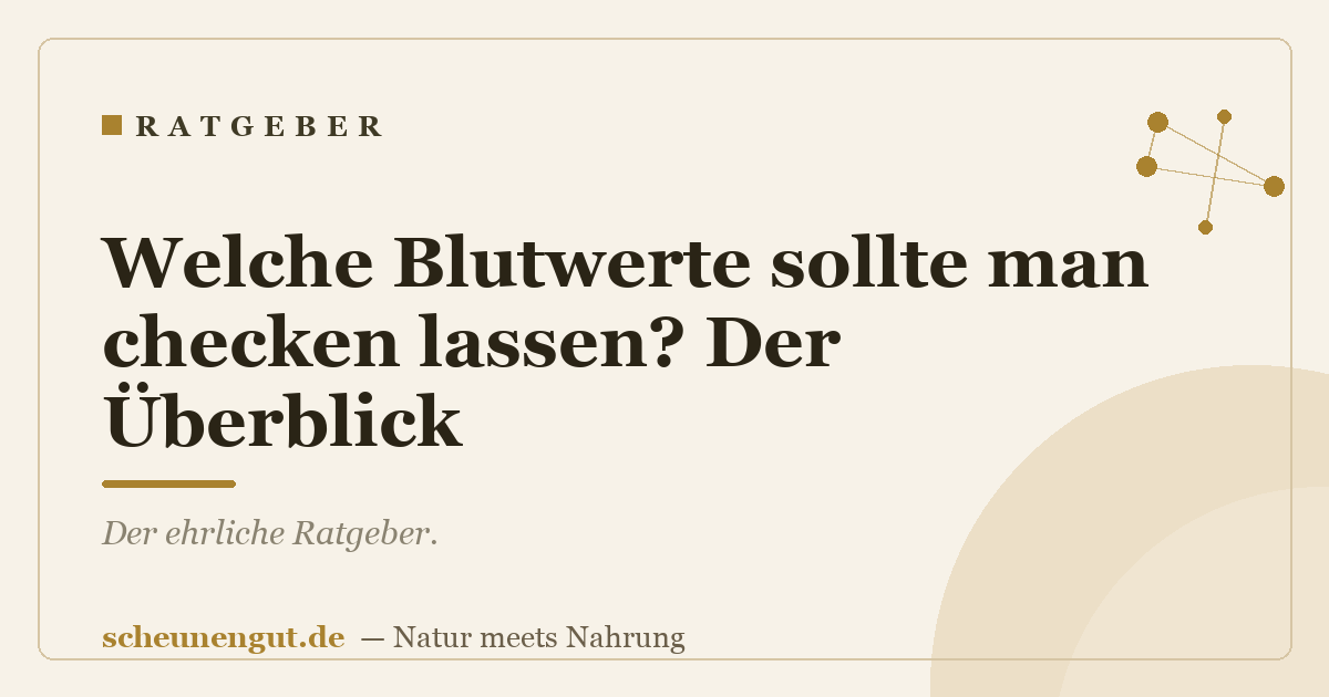 Welche Blutwerte sollte man checken lassen? Der Überblick