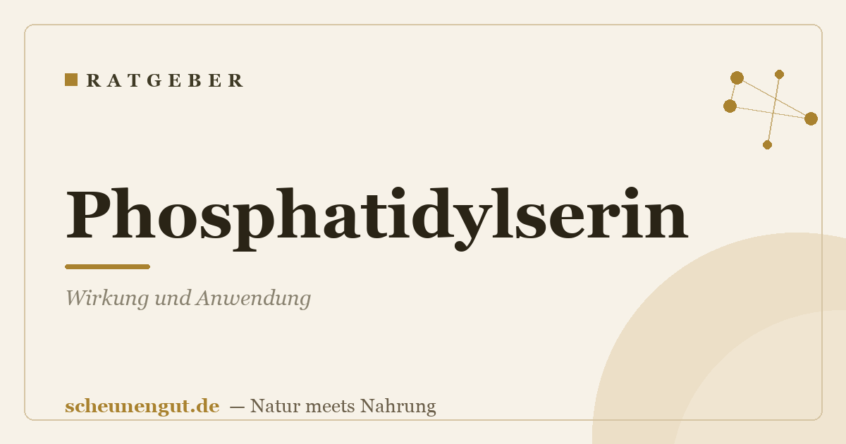 Phosphatidylserin: Wirkung und Anwendung