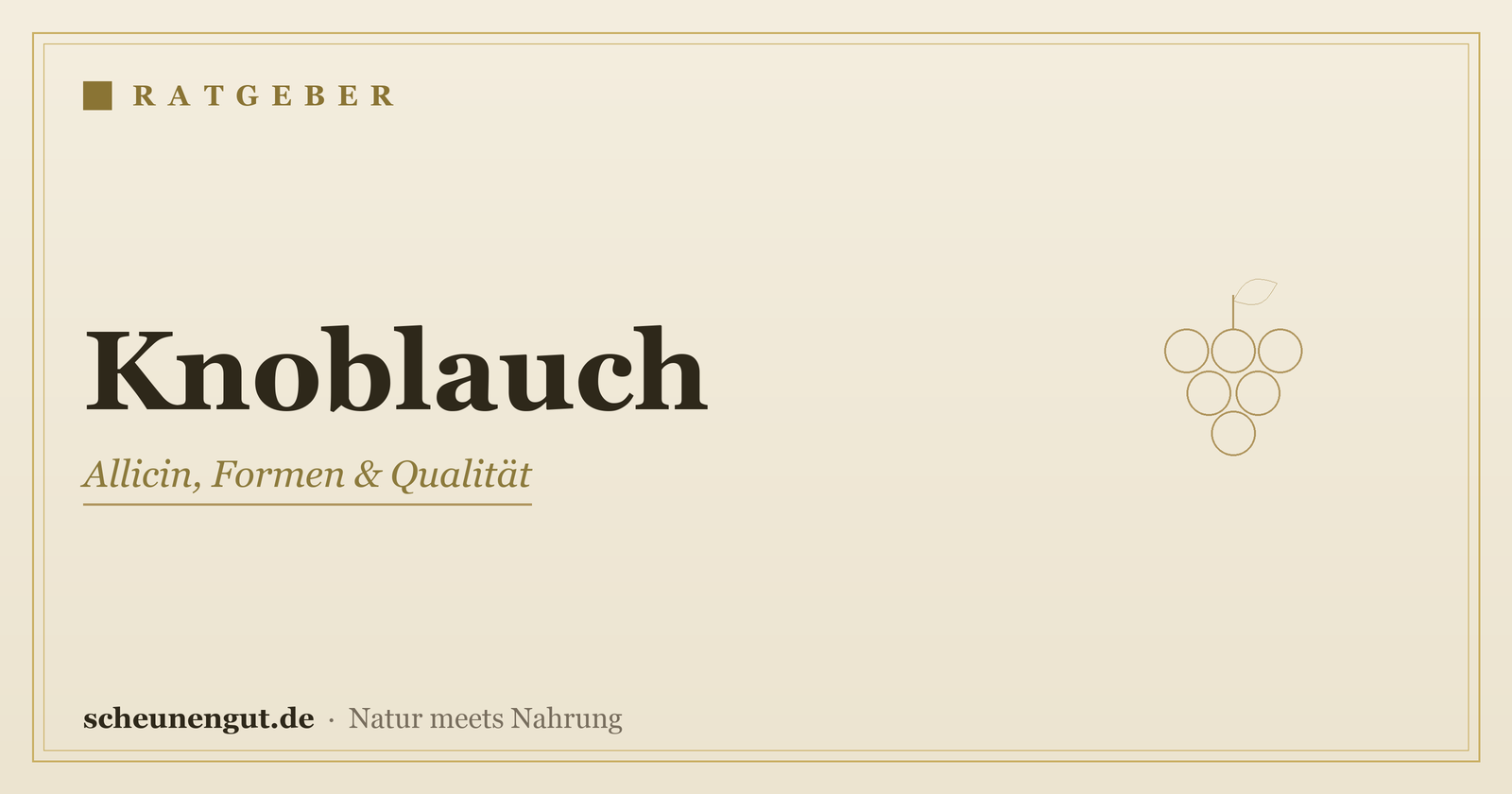 Knoblauch: Allicin, Formen & Anwendung – Ratgeber von Scheunengut