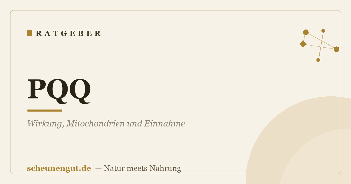 PQQ: Wirkung, Mitochondrien und Einnahme