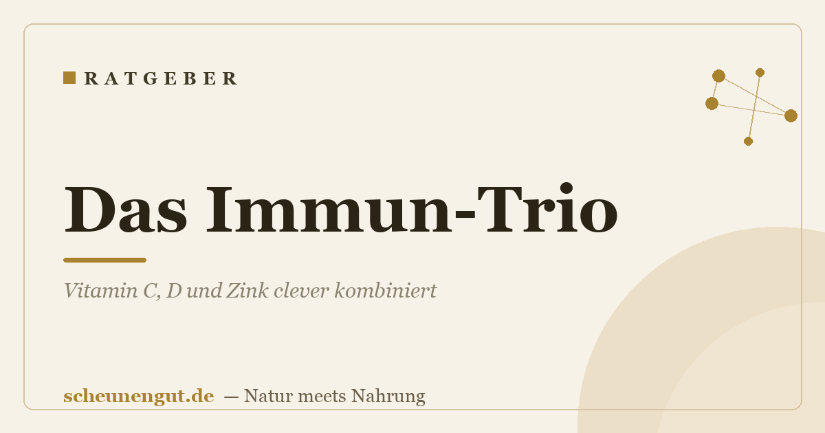 Das Immun-Trio: Vitamin C, D und Zink clever kombiniert