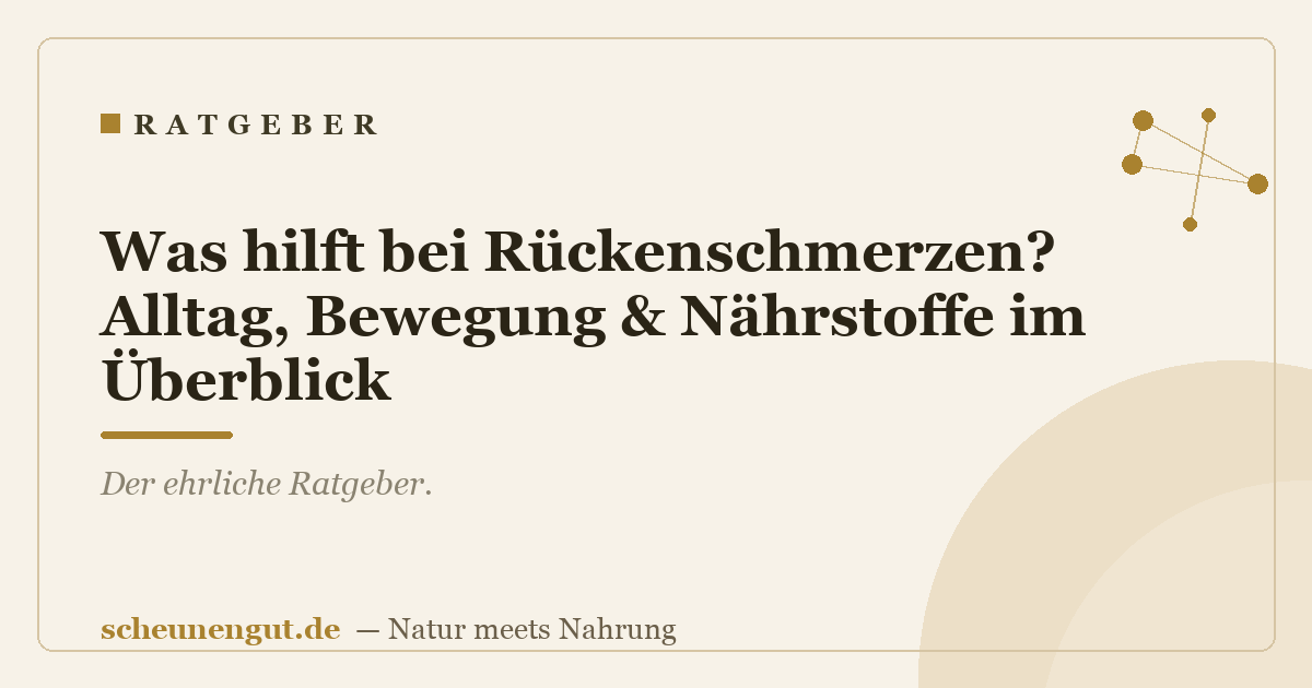 Was hilft bei Rückenschmerzen? Alltag, Bewegung & Nährstoffe im Überblick
