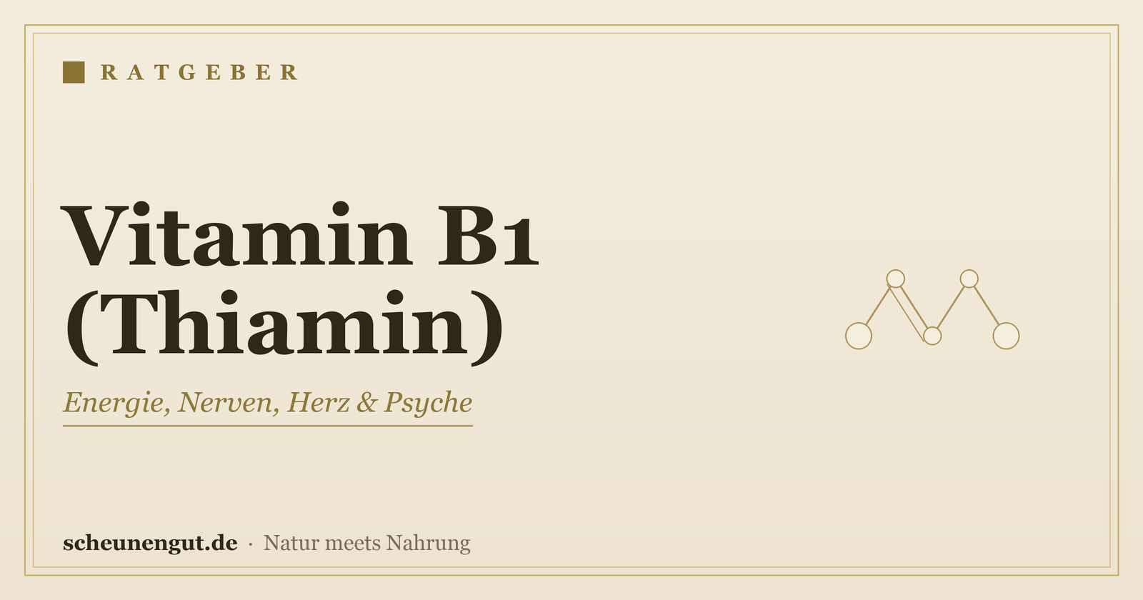 Vitamin B1 (Thiamin): Wirkung, Bedarf, Quellen – Ratgeber von Scheunengut