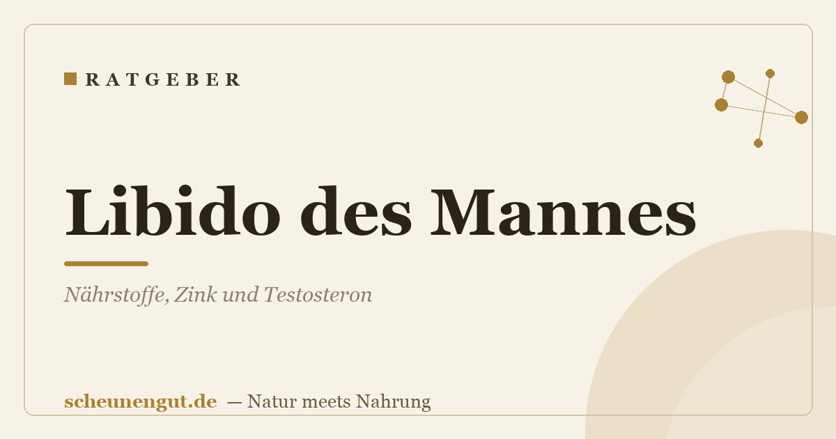 Libido des Mannes: Nährstoffe, Zink und Testosteron