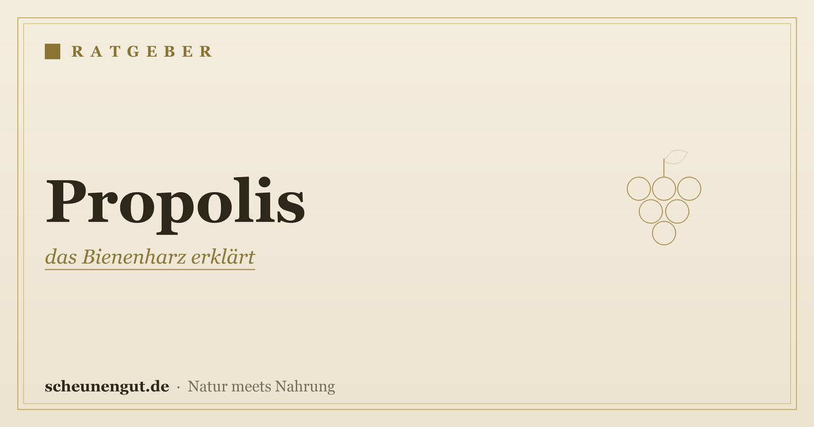Propolis: das Bienenharz erklärt – Ratgeber von Scheunengut