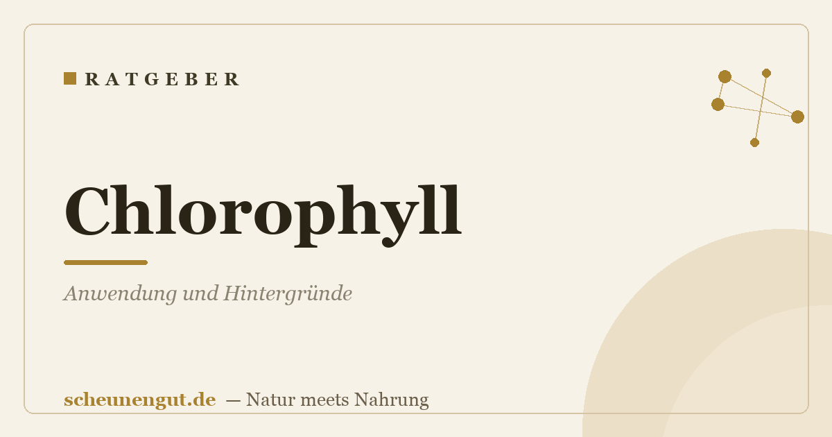 Chlorophyll: Anwendung und Hintergründe