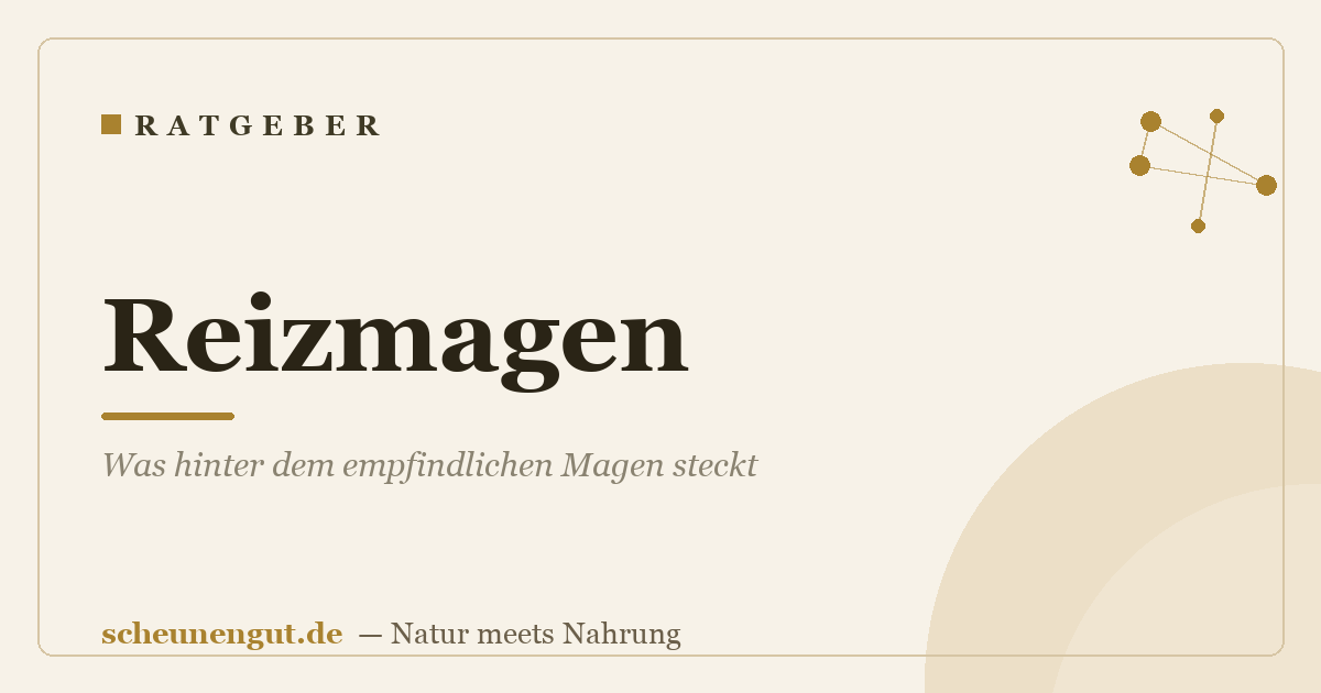 Reizmagen: Was hinter dem empfindlichen Magen steckt